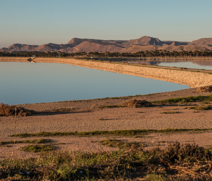Oasis in Morocco