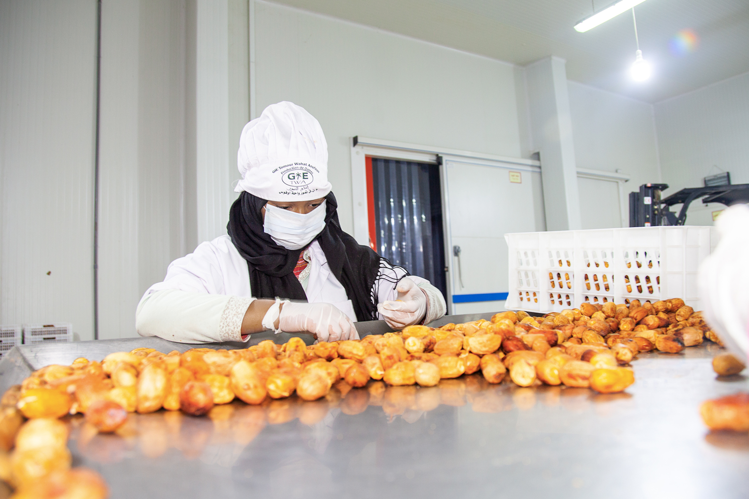 woman selecting dattes at a factory