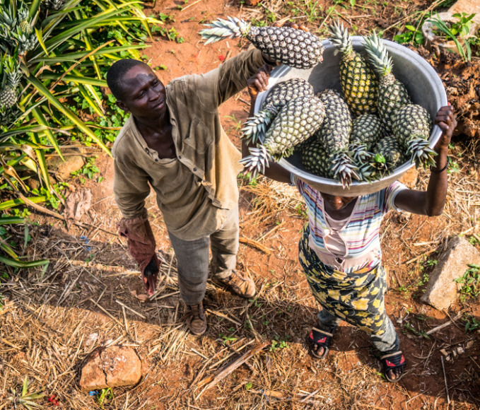 woman holding a pineapple basket with man next to her